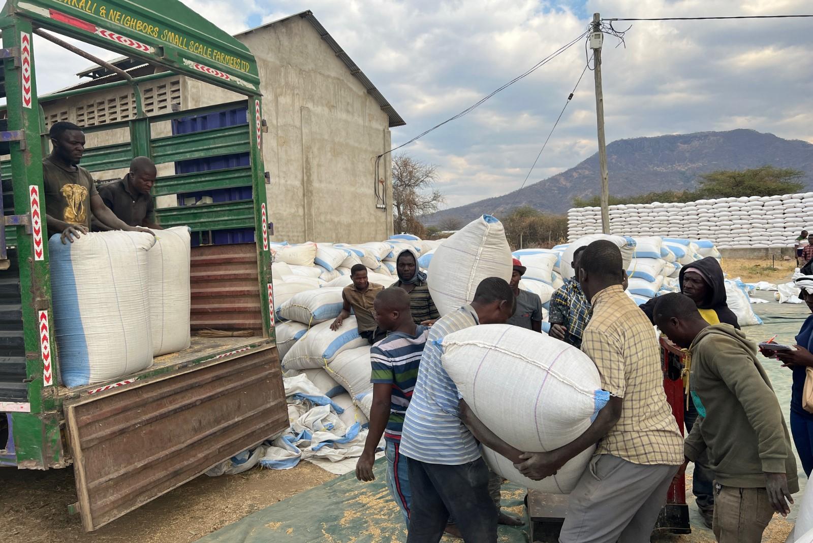 Rice Farmers in Mbarali